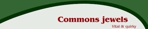 Commons Jewels